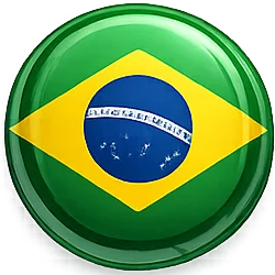 Portuguese Translation Service