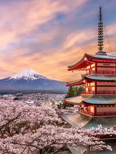 Japanese voice-over and subtitling services — Mount Fuji Japan by Gotham Lab New York